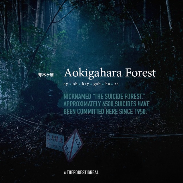 AOKIGAHARA FOREST TEXT
